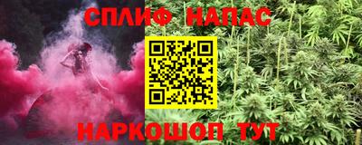 дживик Новозыбков