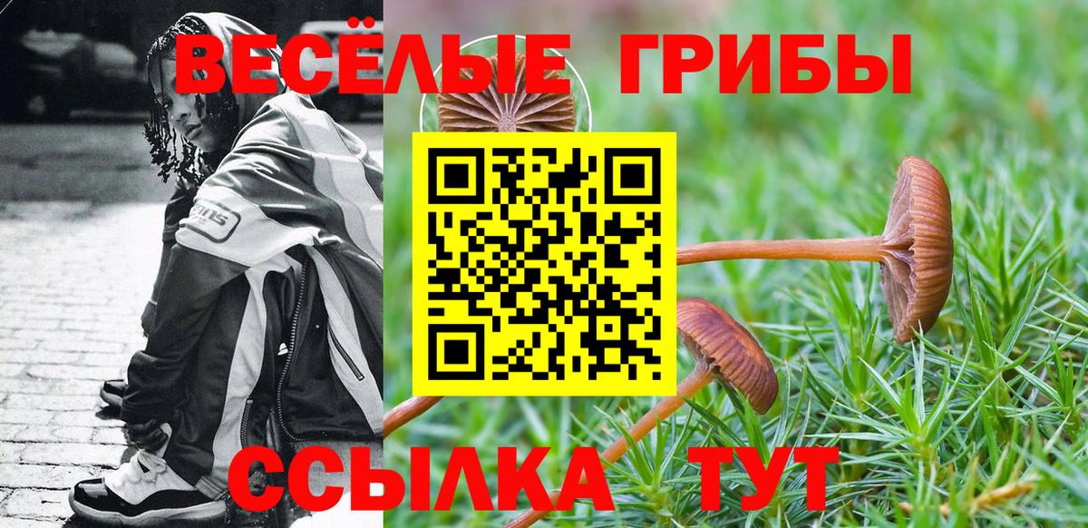 Псилоцибиновые грибы Psilocybine cubensis  Вход с VPN  Сунжа 